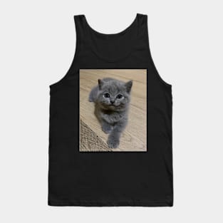 the blue cute cats Tank Top